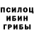 Бошки Шишки Amnesia Shulamit Hanokhin