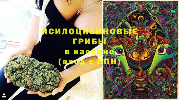гашик Покачи